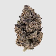 Deli Style Emerald Tier - Merlin's Nightshade