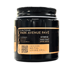 Park Avenue Pave