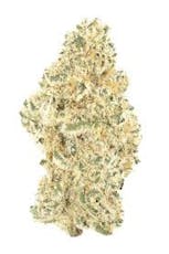Green | Jungle Pie POPCORN 14g