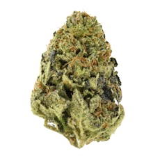 Pinata Flower | Zushi