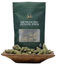 Mendocino Grasslands | Gov't Oasis 28g