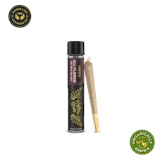 Higher Love Jokerz #31 INDICA All-Flower Pre-Roll | 1g