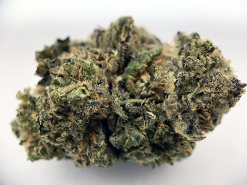Cannatonic