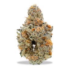 Crop Shop - Koosh Tha Magic Dragon