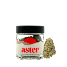 Aster | Tropicana Cherry | Flower | Sativa | 3.5g