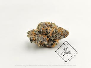 Gelatti Kush - Noble Farms (I)