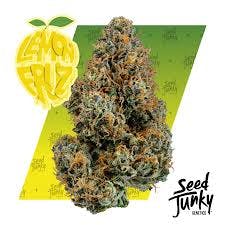 Seed Junky | Lemon Fruz - 3.5g Flower