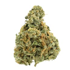 The Flower Shop | Georgia Petrol