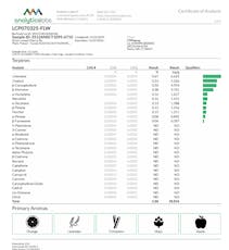 Kush Scout Flower S 26686