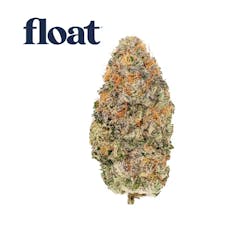 Float - Blueberry Waffle - Flower - 3.5G