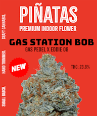 Pinata 4g - Gas Station Bob