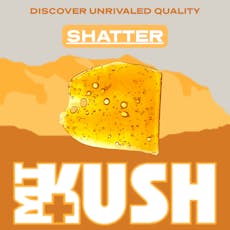 Shatter | Pinata Unicorn | 1g