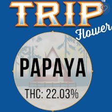 TRIP - PAPAYA 3.5G INDICA