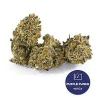 Purple Punch