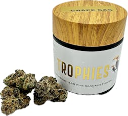 Black Maple | 3.5g | Flower