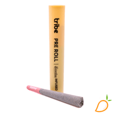 1g Blueberry Truffles Diamond Infused Preroll Tribe