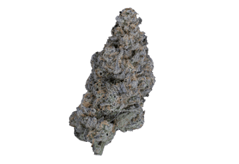 wee-de Prepack Pre-Ground (1/2 oz) Devi 11 #1