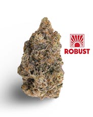Whipz - Robust - 1g Pre-Packaged