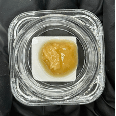 Sugar House Fit Check 1g Live Rosin Concentrate