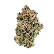 Campfire Cannabis | Sherbet | 1/8oz Flower