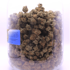 Lemon Do-Si | Eigth (3.5G)| First Chair Farms