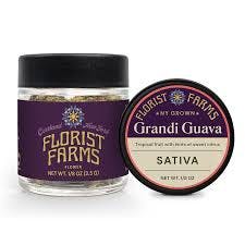 FLORIST FARMS | GORILLA GUAVA | 7 GRAMS FLOWER