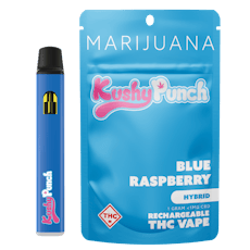 Blue Raspberry Disposable Vape (1g)