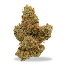 Deep Creek Gardens - Supa Durban