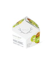 Energy | KIWI | 10-Pack
