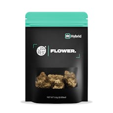 JARS Kingman 1/8 Jungle Pie