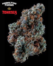 Hamilton Farms x Tokesly Dante's Garden