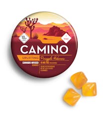 Camino 100mg Gummies | Pineapple Habanero - Uplifting