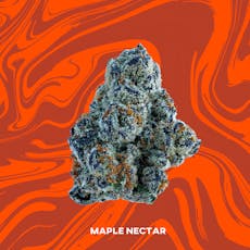 Maple Nectar (Hybrid) - 3.5g