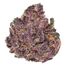 Hybrid - Gram - Lilac Diesel - Mother Magnolia