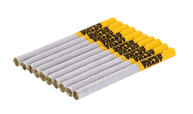 Animal Mintz Slims 10-Pack