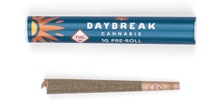 Double Runtz Preroll - 1g