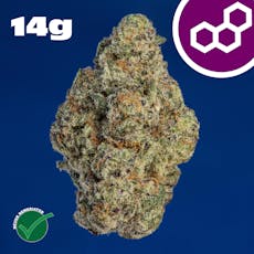 Ice Cream Cke 14g 41472