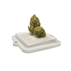 Lemon Cookies | Flower Bar