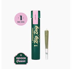 Runtz | 1-Pack