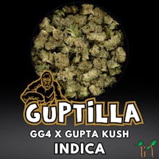Flower - Guptilla - Popcorn