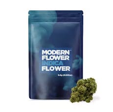 Modern Flower: Fruit Gushers | 3.5g