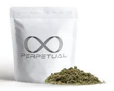 Infused Pre-Ground | Gary Payton #2