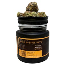 Park Avenue Pave | 3.5g Jar | Mr. Z Craft Cannabis