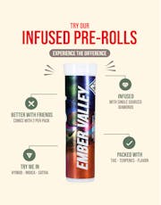 EV | Kief INF Pre-Rolls .5g (5pk) | H | Gelato Pie
