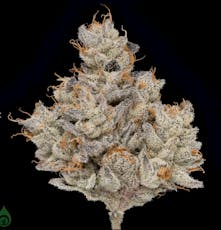 Green Dot - Pre-Packed - Otoro (H) 7g