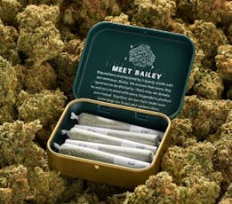 DOGWALKERS DULCE DE UVA 5PK PRE-ROLLS 1.75G