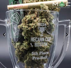 Rainbow Road (H) - 1g