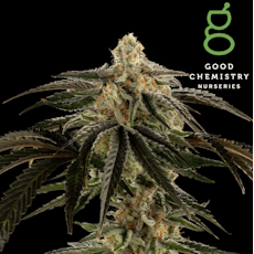Good Chem - Flower 3.5g Indica; Commando