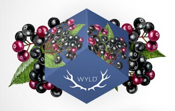 Relaxing - Sleep Ratioed Elderberry Gummies 150mg (10-Pack | 15mg Each)