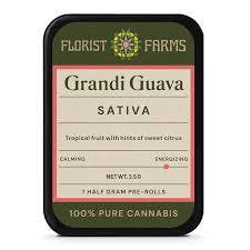 Florist Farms | Pre Roll 7pk | Grandi Guava | 3.5g